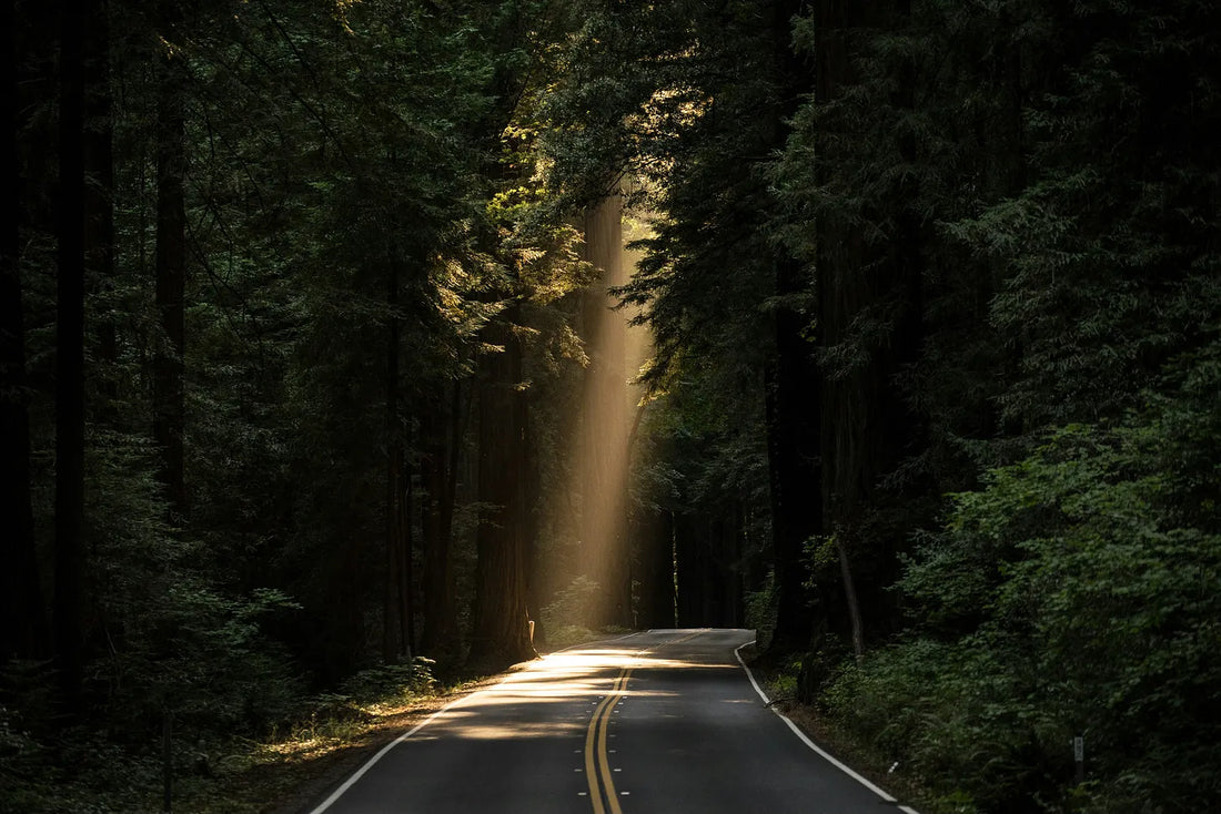The Blueprint for Good Success